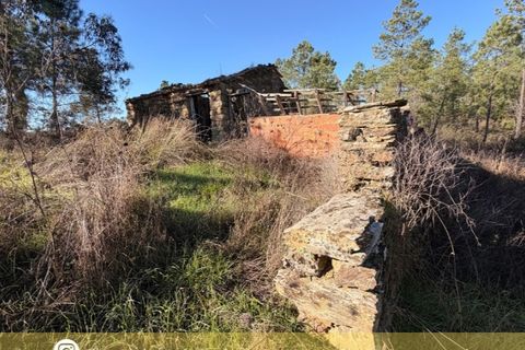 Farm i Castelo Branco, Castelo Branco, Castelo Branco - € 23.500 | Ref: MAS_12581 - foto 1