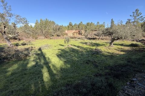 Farm i Castelo Branco, Castelo Branco, Castelo Branco - € 23.500 | Ref: MAS_12581 - foto 20