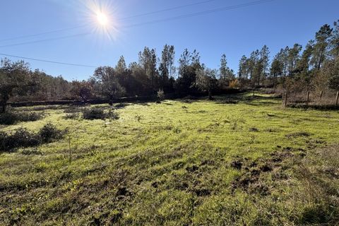 Farm i Castelo Branco, Castelo Branco, Castelo Branco - € 23.500 | Ref: MAS_12581 - foto 21
