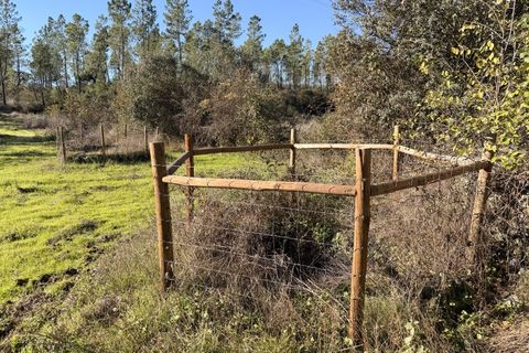 Farm i Castelo Branco, Castelo Branco, Castelo Branco - € 23.500 | Ref: MAS_12581 - foto 22