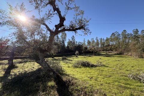 Farm i Castelo Branco, Castelo Branco, Castelo Branco - € 23.500 | Ref: MAS_12581 - foto 23