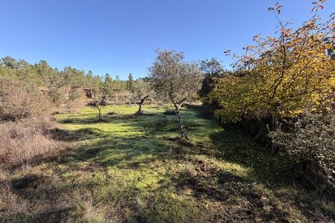 Farm i Castelo Branco, Castelo Branco, Castelo Branco - € 23.500 | Ref: MAS_12581 - foto 25