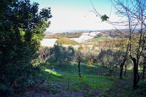 Villa i Fabro, Terni, Fabro - € 105.000 | Ref: OR8303M-760885 - foto 14