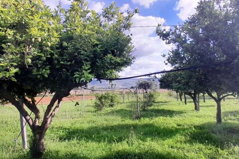 Villa i Chiaramonte Gulfi, Ragusa, Chiaramonte Gulfi - € 165.000 | Ref: RP-761743-761743 - foto 5