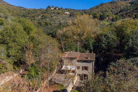 Farm hus i Cortona, Arezzo, Cortona - € 700.000 | Ref: 11226RA42525-768466 - foto 17