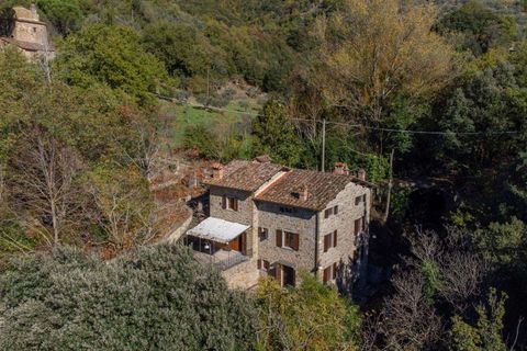 Farm hus i Cortona, Arezzo, Cortona - € 700.000 | Ref: 11226RA42525-768466 - foto 27