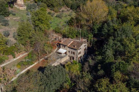 Farm hus i Cortona, Arezzo, Cortona - € 700.000 | Ref: 11226RA42525-768466 - foto 39