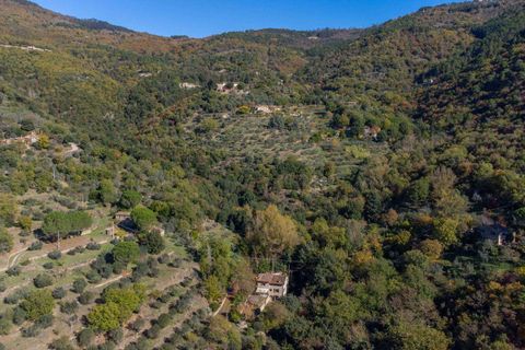 Farm hus i Cortona, Arezzo, Cortona - € 700.000 | Ref: 11226RA42525-768466 - foto 41