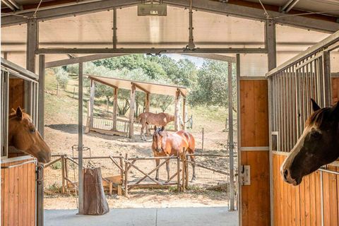 Landejendom i Umbertide, Perugia, Umbertide - € 1.680.000 | Ref: UMB1-768508 - foto 5