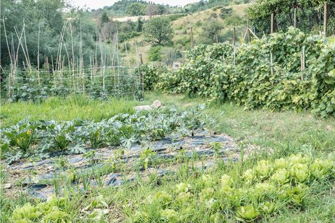 Landejendom i Umbertide, Perugia, Umbertide - € 1.680.000 | Ref: UMB1-768508 - foto 14