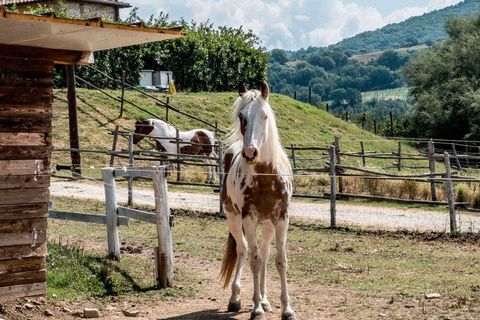 Landejendom i Umbertide, Perugia, Umbertide - € 1.680.000 | Ref: UMB1-768508 - foto 26