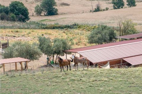 Landejendom i Umbertide, Perugia, Umbertide - € 1.680.000 | Ref: UMB1-768508 - foto 28