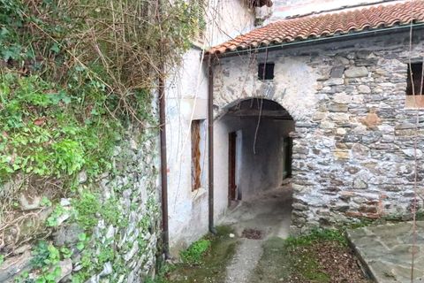 Villa a Tresana, Massa and Carrara, Tresana - € 130.000 | Ref: 632B-768847 - foto 29