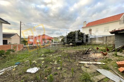 Helårsgrund i Mafra, Lisbon, Mafra - € 95.000 | Ref: 6002WE - foto 5