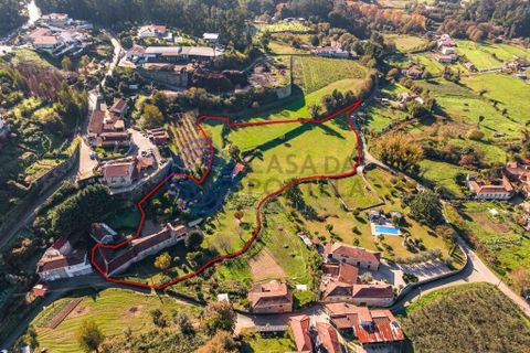 Farm i Penafiel, Porto, Penafiel - € 415.000 | Ref: 1117231 - foto 2