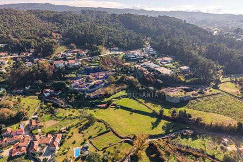 Farm i Penafiel, Porto, Penafiel - € 415.000 | Ref: 1117231 - foto 4