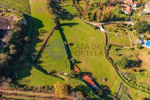 Farm i Penafiel, Porto, Penafiel - € 415.000 | Ref: 1117231 - foto 8