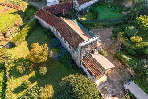 Farm i Penafiel, Porto, Penafiel - € 415.000 | Ref: 1117231 - foto 11