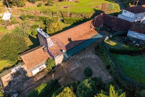 Farm i Penafiel, Porto, Penafiel - € 415.000 | Ref: 1117231 - foto 12