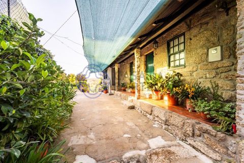 Farm i Penafiel, Porto, Penafiel - € 415.000 | Ref: 1117231 - foto 18