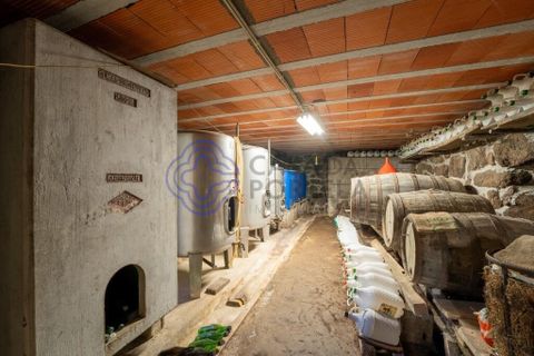 Farm i Penafiel, Porto, Penafiel - € 415.000 | Ref: 1117231 - foto 20