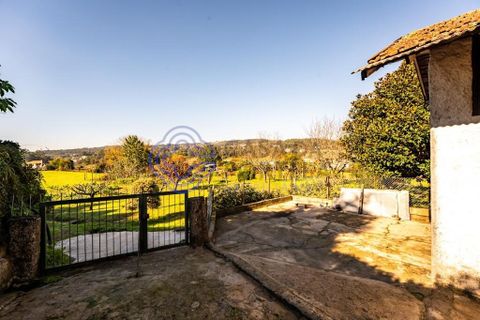 Farm i Penafiel, Porto, Penafiel - € 415.000 | Ref: 1117231 - foto 24
