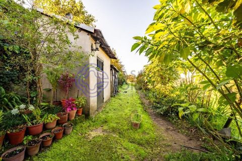 Farm i Penafiel, Porto, Penafiel - € 415.000 | Ref: 1117231 - foto 25