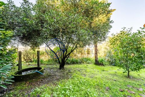 Farm i Penafiel, Porto, Penafiel - € 415.000 | Ref: 1117231 - foto 26