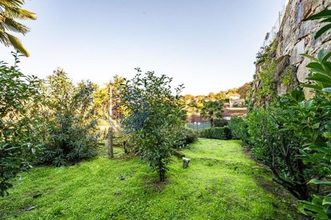 Farm i Penafiel, Porto, Penafiel - € 415.000 | Ref: 1117231 - foto 28
