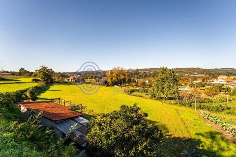 Farm i Penafiel, Porto, Penafiel - € 415.000 | Ref: 1117231 - foto 29