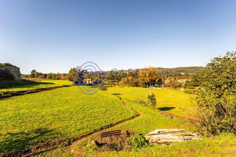 Farm i Penafiel, Porto, Penafiel - € 415.000 | Ref: 1117231 - foto 31