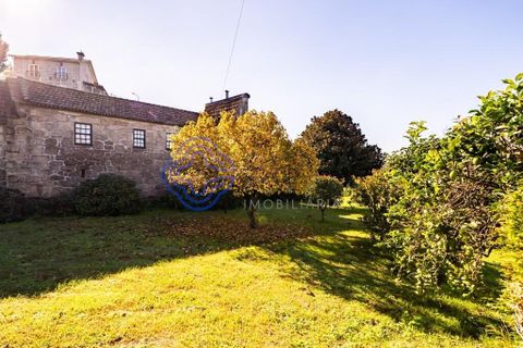 Farm i Penafiel, Porto, Penafiel - € 415.000 | Ref: 1117231 - foto 48