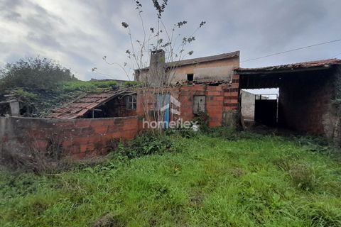 Villa a Soure, Coimbra, Soure - € 46.500 | Ref: 1663/AV - foto 11