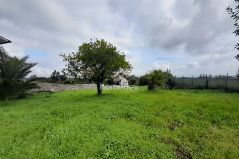Villa a Soure, Coimbra, Soure - € 46.500 | Ref: 1663/AV - foto 37