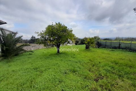 Villa a Soure, Coimbra, Soure - € 46.500 | Ref: 1663/AV - foto 38