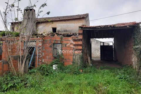 Villa a Soure, Coimbra, Soure - € 46.500 | Ref: 1663/AV - foto 45
