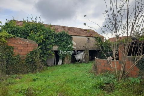 Villa a Soure, Coimbra, Soure - € 46.500 | Ref: 1663/AV - foto 46