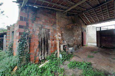 Villa a Soure, Coimbra, Soure - € 46.500 | Ref: 1663/AV - foto 48