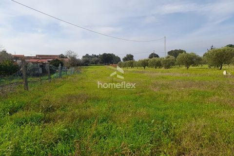 Helårsgrund i Soure, Coimbra, Soure - € 18.000 | Ref: 1664/AV - foto 1