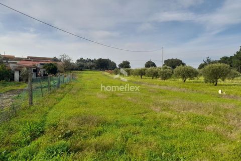 Helårsgrund i Soure, Coimbra, Soure - € 18.000 | Ref: 1664/AV - foto 2
