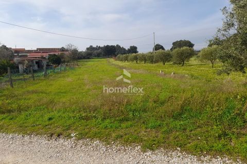 Helårsgrund i Soure, Coimbra, Soure - € 18.000 | Ref: 1664/AV - foto 4