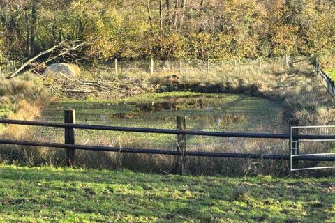 Landejendom i Boucey, Manche, Boucey - € 400.000 | Ref: 185690 - foto 18