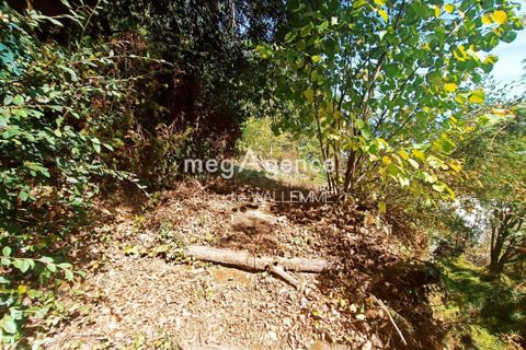 Villa i Tabanac, Gironde, Tabanac - € 339.000 | Ref: 192329 - foto 11