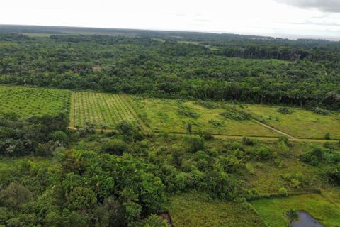 Landejendom i Macouria, French Guiana, Macouria - € 385.000 | Ref: 187500 - foto 10