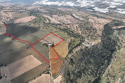 Landejendom i Comiso, Ragusa, Comiso - € 490.000 | Ref: Z 60 - foto 10