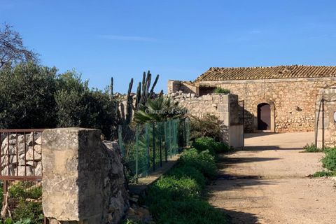 Landejendom i Comiso, Ragusa, Comiso - € 490.000 | Ref: Z 60 - foto 12