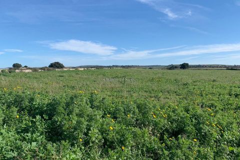 Landejendom i Comiso, Ragusa, Comiso - € 490.000 | Ref: Z 60 - foto 21