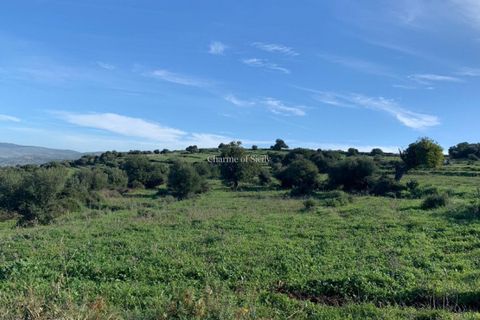 Landejendom i Comiso, Ragusa, Comiso - € 490.000 | Ref: Z 60 - foto 23
