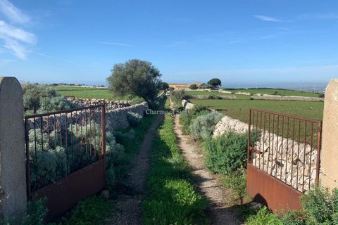 Landejendom i Comiso, Ragusa, Comiso - € 490.000 | Ref: Z 60 - foto 24