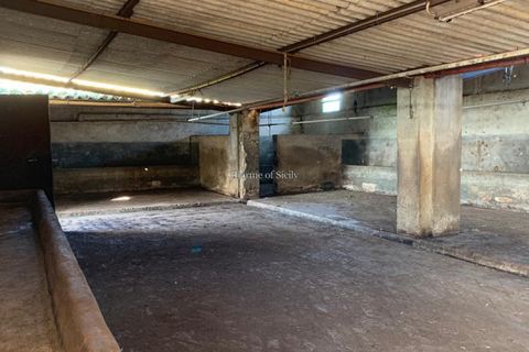 Landejendom i Comiso, Ragusa, Comiso - € 490.000 | Ref: Z 60 - foto 36